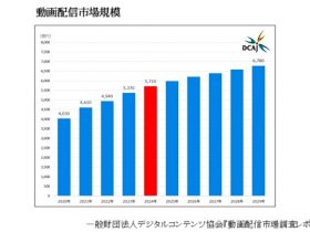 国内動画配信市場2024年